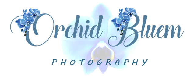 Orchid Bluem Photography